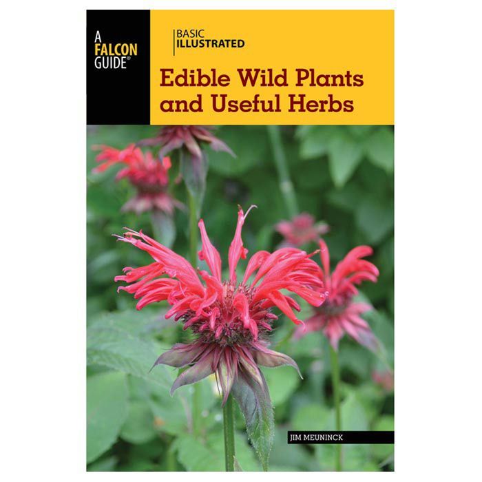 B.I. EDIBLE WILD PLANTS, BOOK