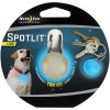 SPOTLIT DOG, BLUE