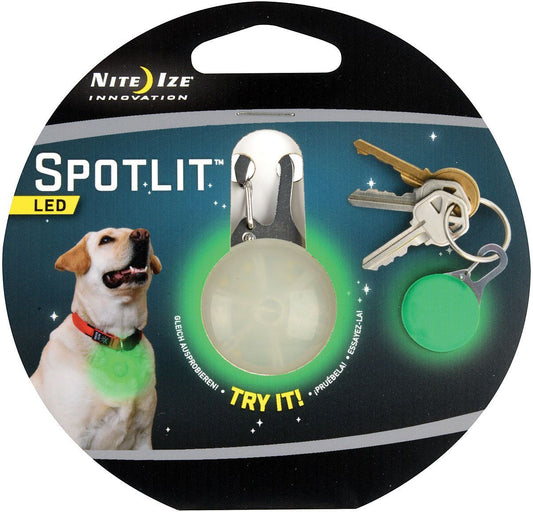 SPOTLIT DOG, LIME