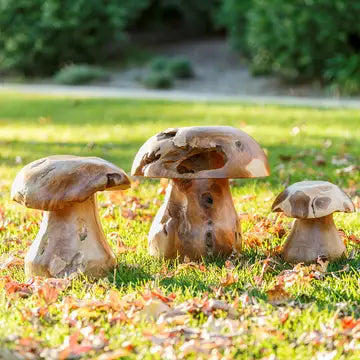 TEAK ROOT MUSHROOM STOOLS